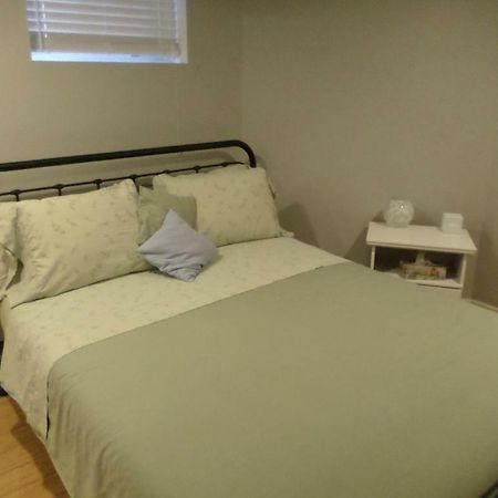 Fantastic And Modern Downtown 1-Bed Basement Apt., Parking Wi-Fi And Netflix Included Ottawa Luaran gambar