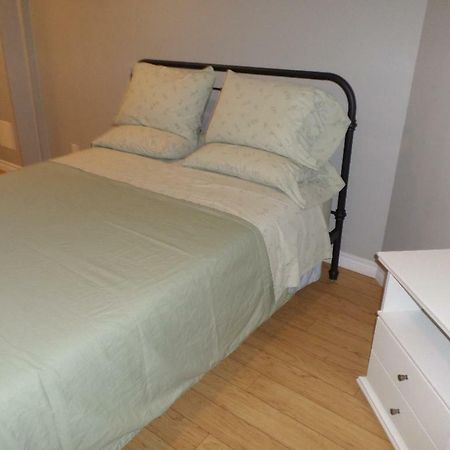 Fantastic And Modern Downtown 1-Bed Basement Apt., Parking Wi-Fi And Netflix Included Ottawa Luaran gambar