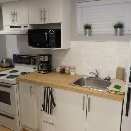 Fantastic And Modern Downtown 1-Bed Basement Apt., Parking Wi-Fi And Netflix Included Ottawa Luaran gambar
