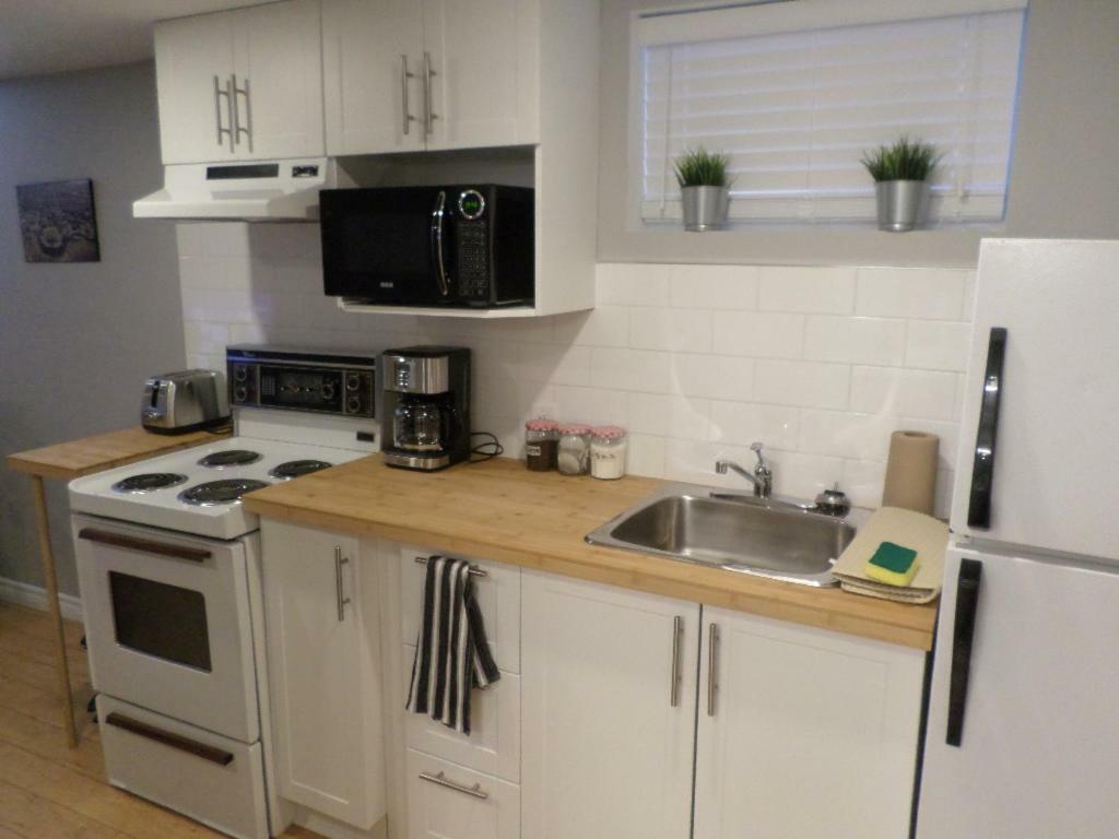 Fantastic And Modern Downtown 1-Bed Basement Apt., Parking Wi-Fi And Netflix Included Ottawa Luaran gambar